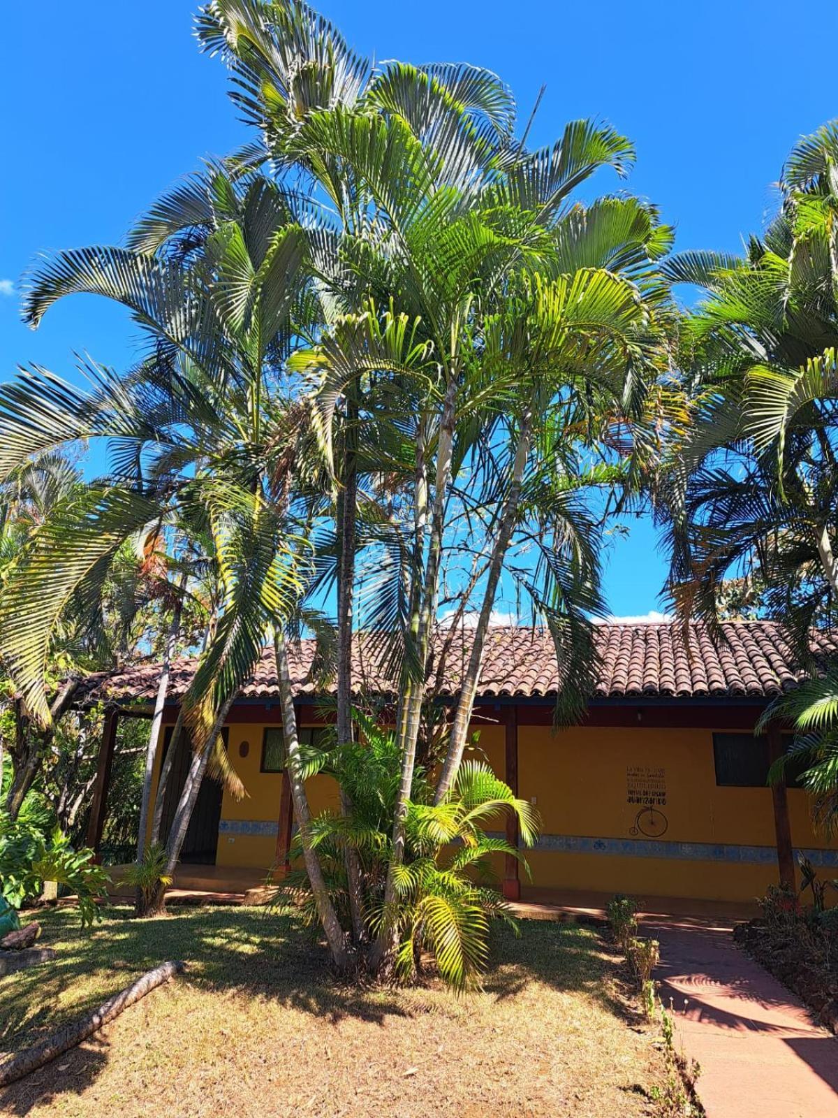 Serenity By Nature Carrillos Exterior foto