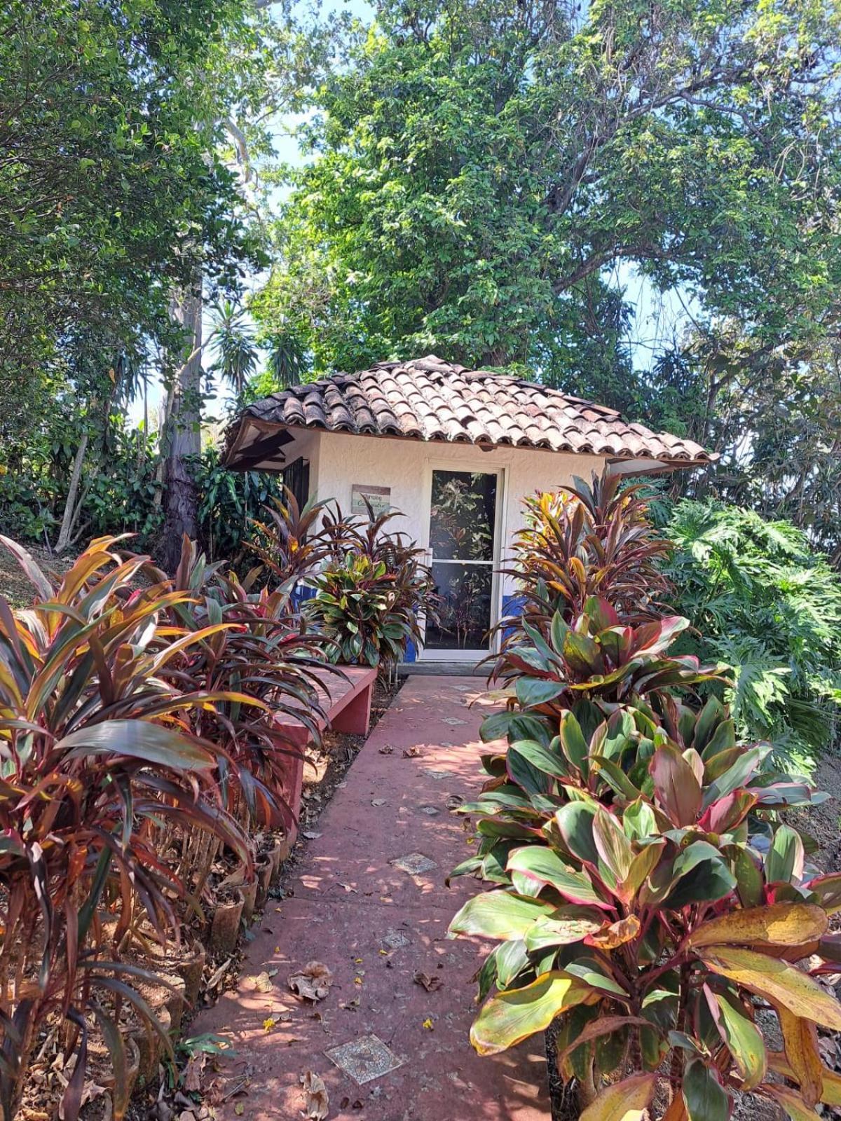 Serenity By Nature Carrillos Exterior foto
