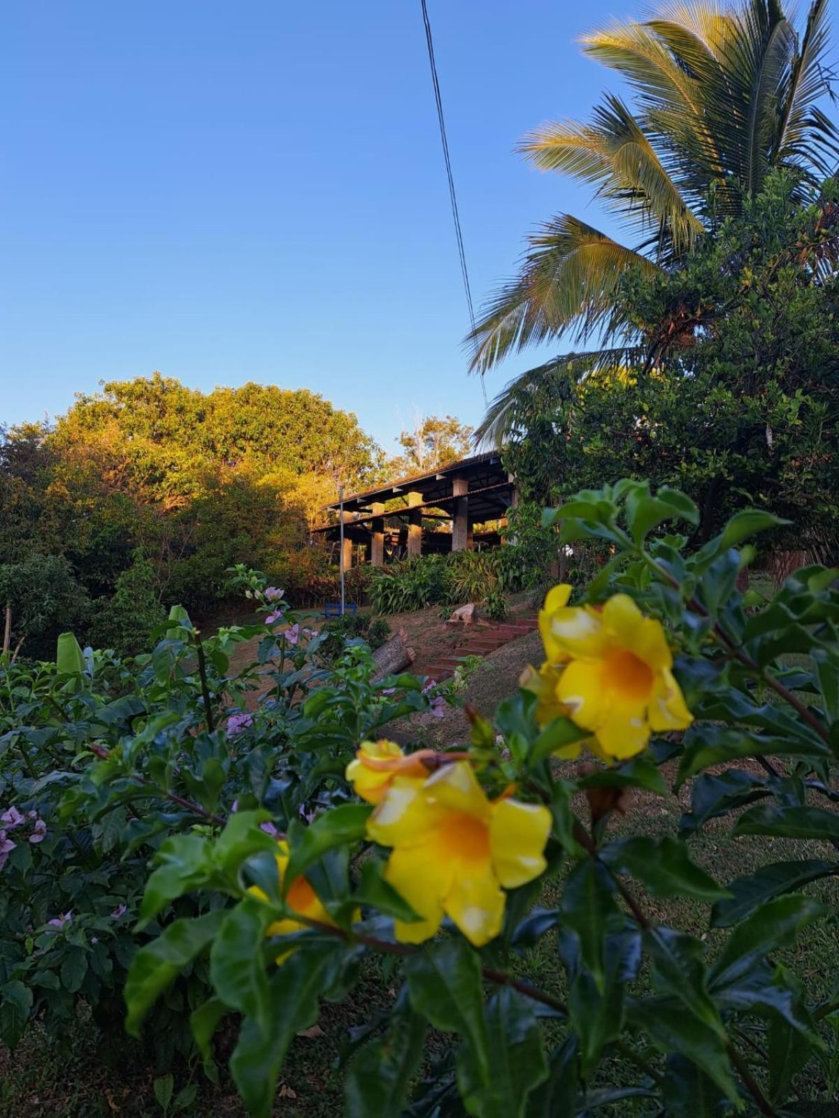 Serenity By Nature Carrillos Exterior foto