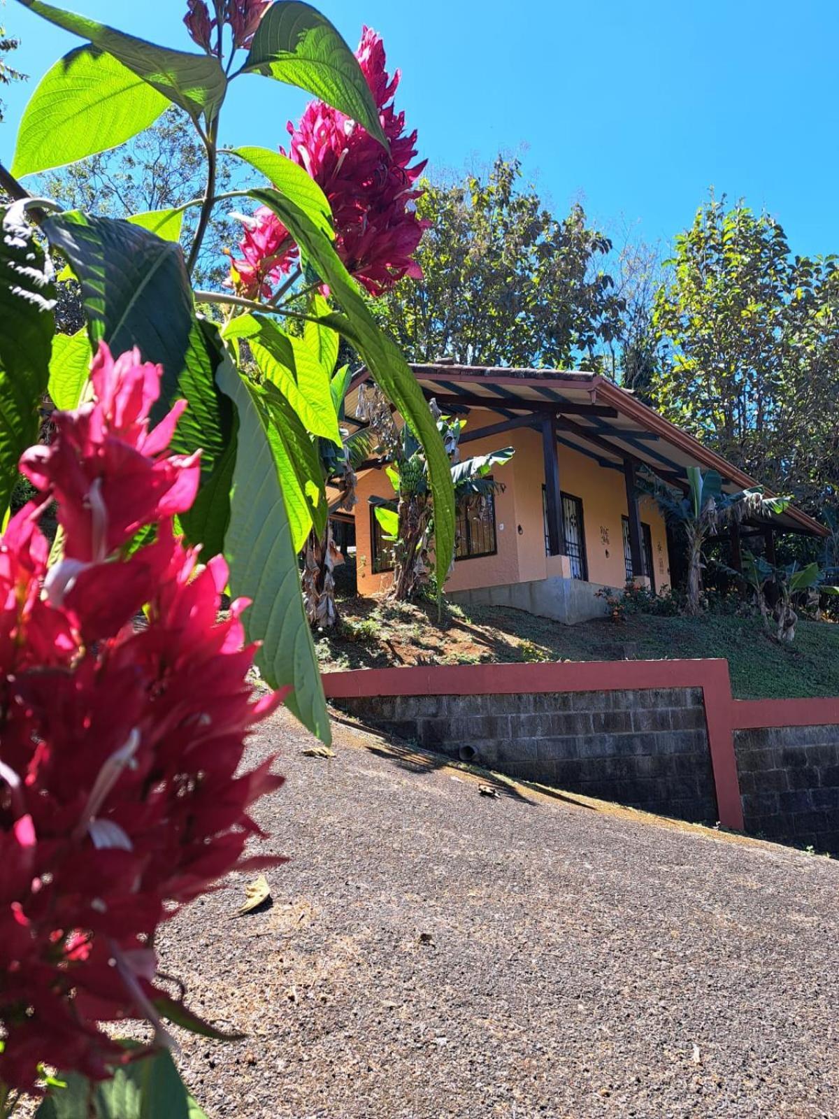 Serenity By Nature Carrillos Exterior foto